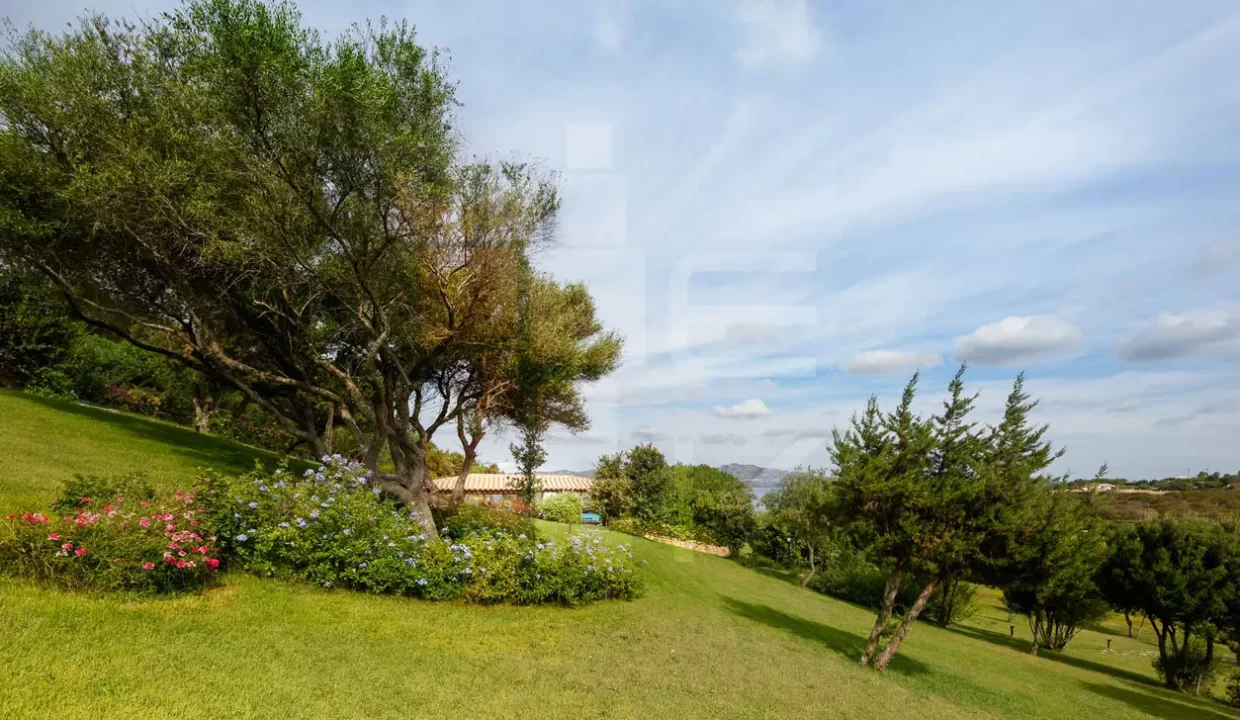 villa anastassia -porto rotondo (24)
