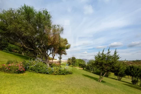 villa anastassia -porto rotondo (24)