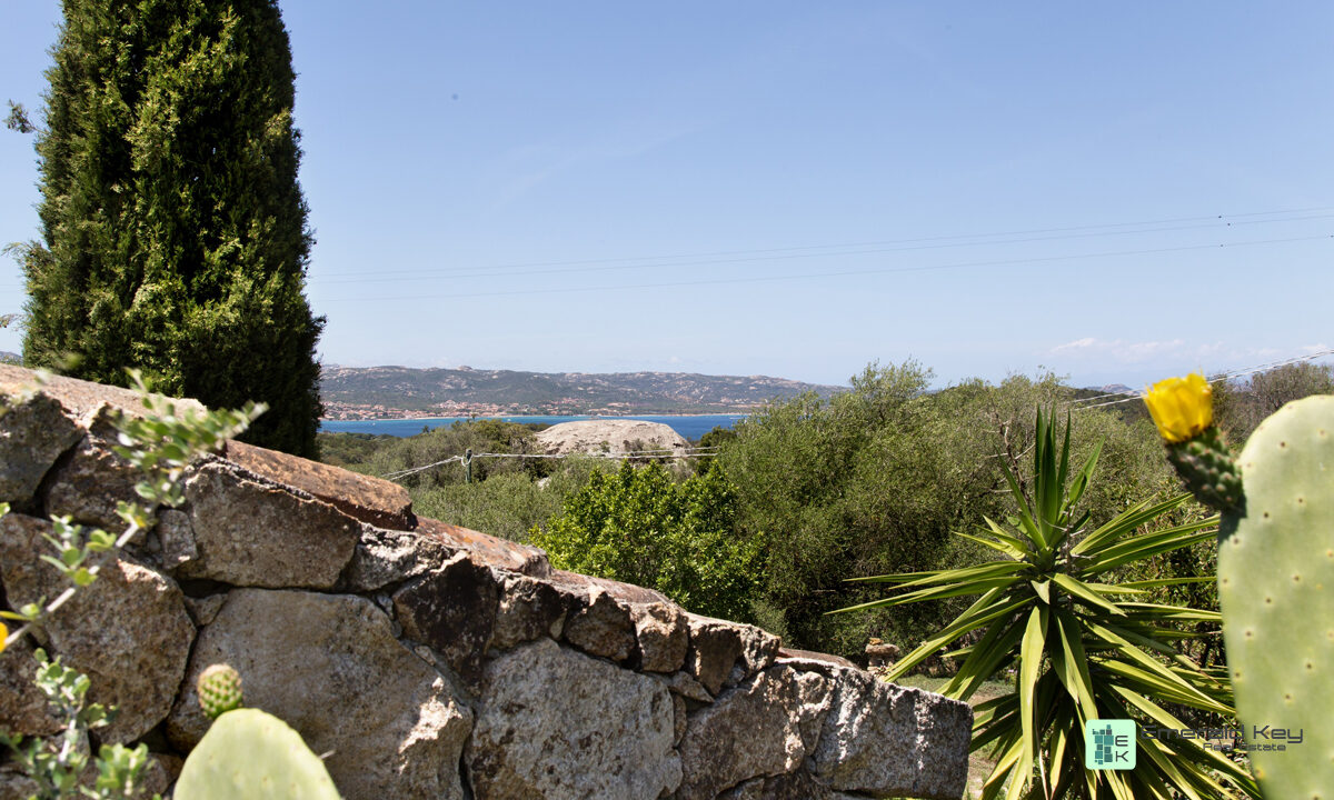 STAZZO - Gallery Image (37)