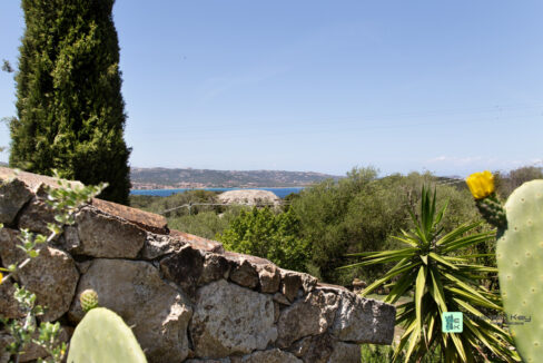 STAZZO - Gallery Image (37)