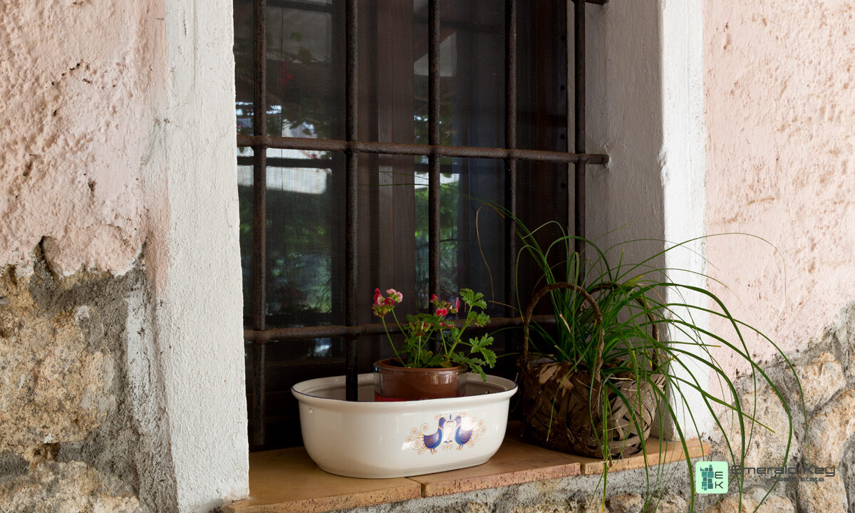 STAZZO - Gallery Image (5)
