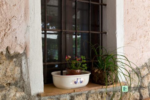STAZZO - Gallery Image (5)