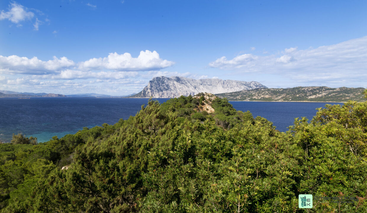 VILLA EST - Capo Coda Cavallo (66)