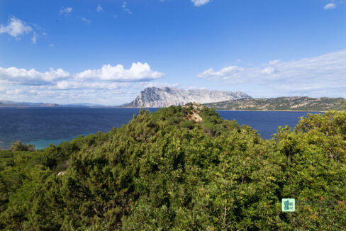 VILLA EST - Capo Coda Cavallo (66)