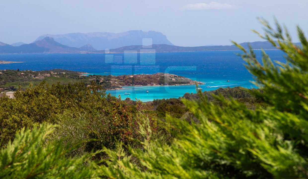 Villa CHICCA - cala di volpe for rent - meraldkey real estate (73)