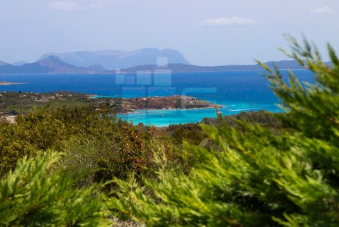 Villa CHICCA - cala di volpe for rent - meraldkey real estate (73)